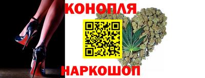 прущие грибы Краснокаменск