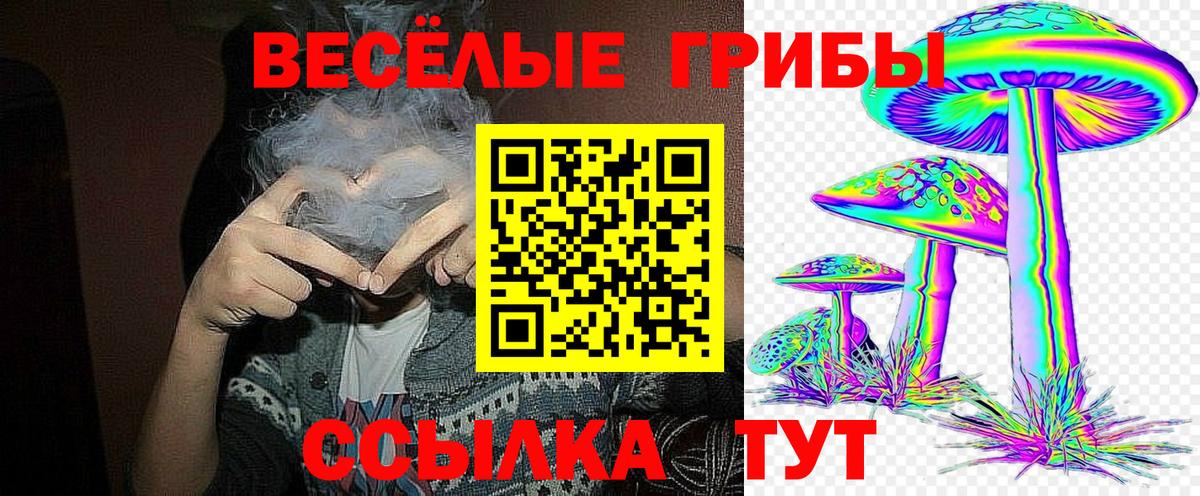 Галлюциногенные грибы мухоморы  Вход с VPN  Галлюциногенные грибы мицелий  Зерноград 